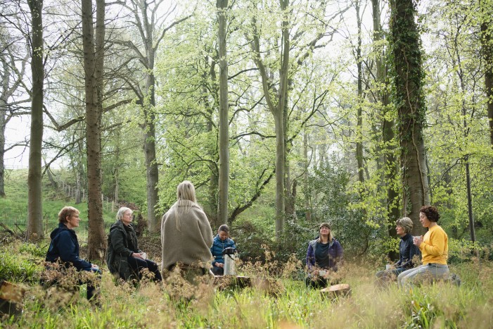 woodland gathering space at Brinkburn Northumberland