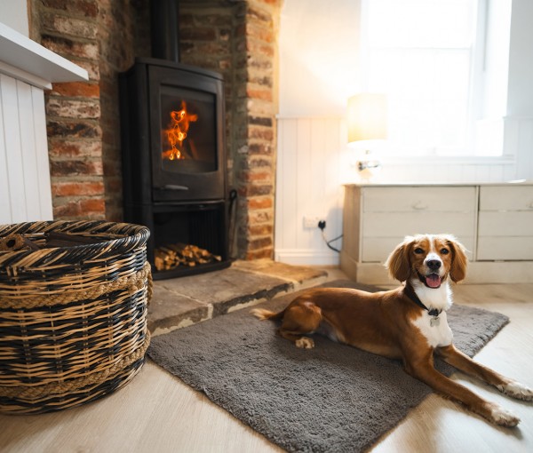 dog friendly holiday cottages northumberland north east