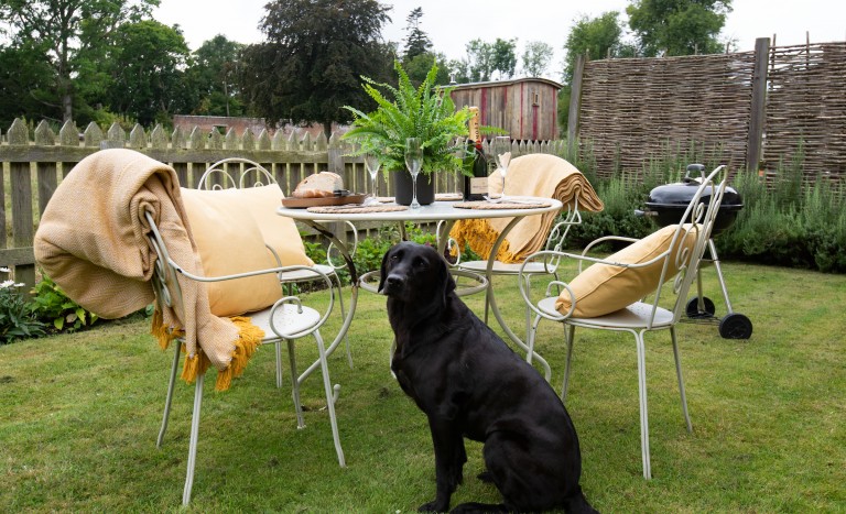 Dog friendly cottage with enclosed garden in Northumberland