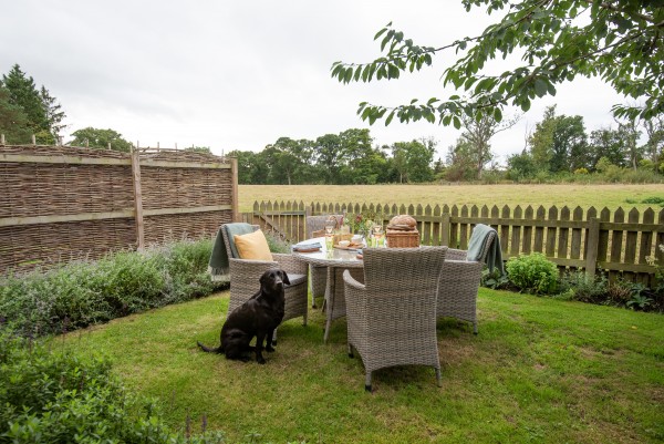 Countryside views in rural dog friendly holiday cottage