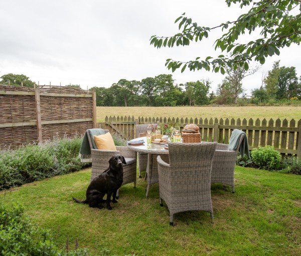 Countryside views in rural dog friendly holiday cottage