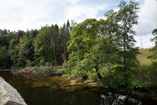 countryside holidays with river and woodland at Brinkburn