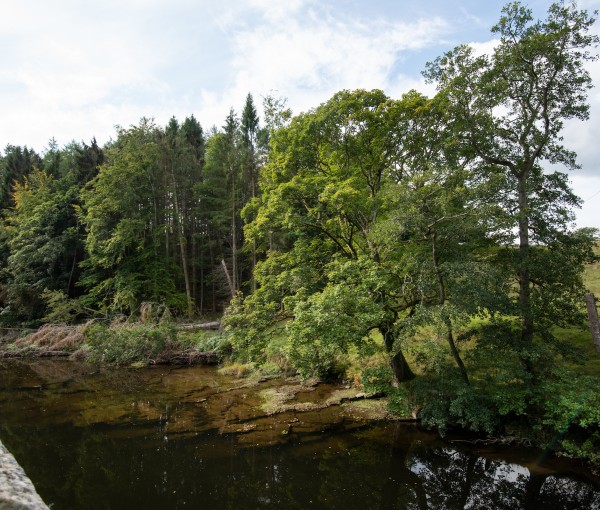 countryside holidays with river and woodland at Brinkburn