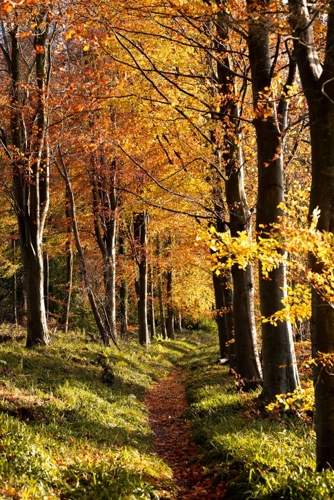 digital detox retreat uk north east