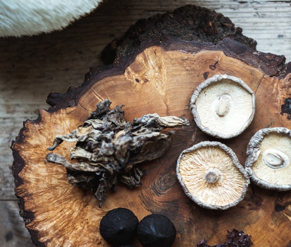 Fine dining wedding catering Northumberland