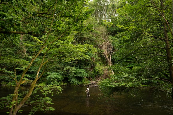 fly fishing in northumberland brinkburn