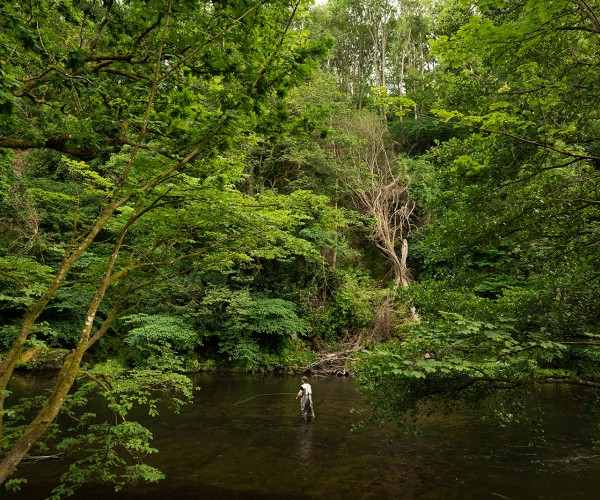 fly fishing in northumberland brinkburn