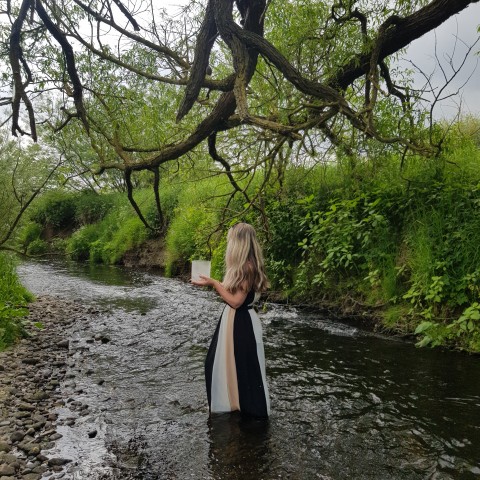 willow wisp wellness sound healing