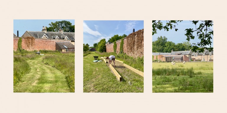 herb garden summer at brinkburn
