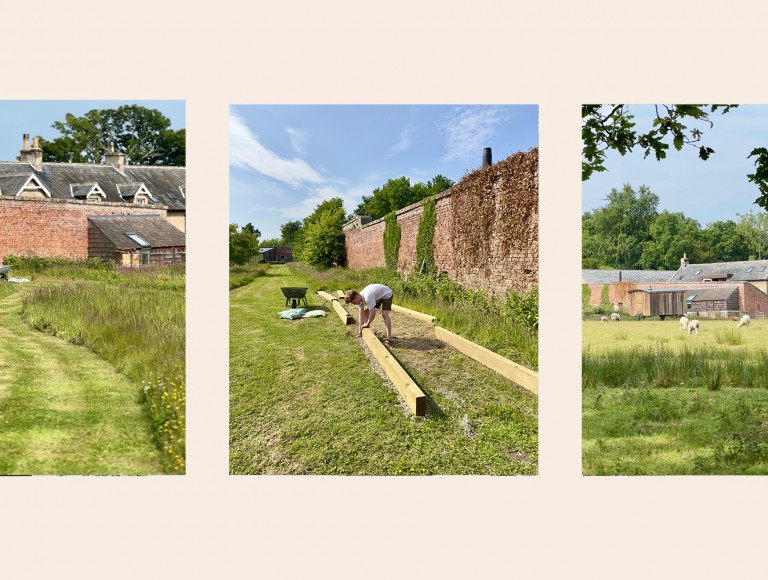 herb garden summer at brinkburn