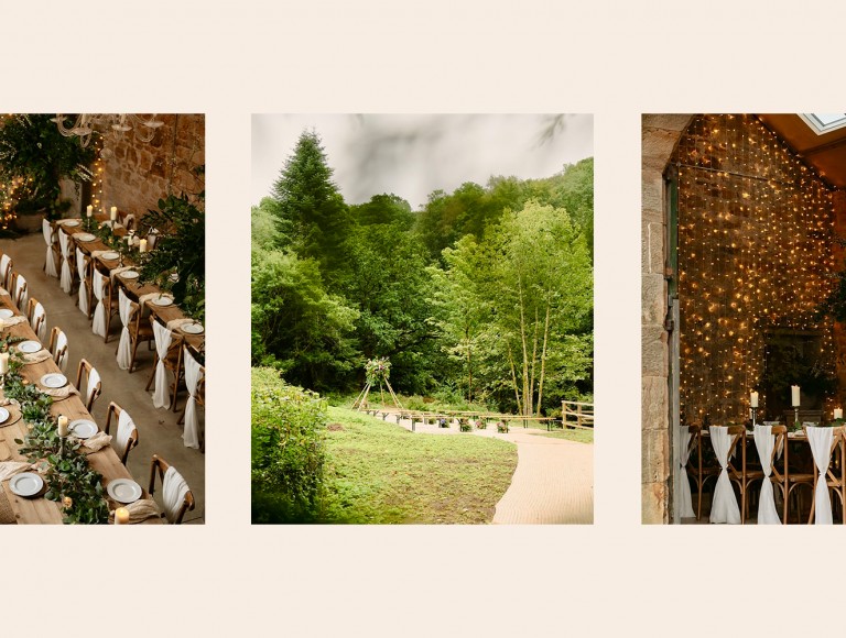 open day summer at brinkburn