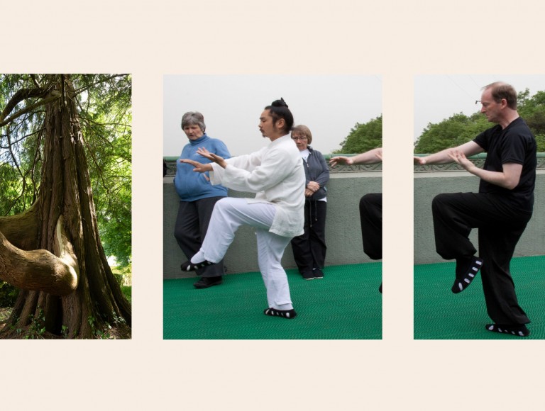 qi-gong-retreat-northumberland