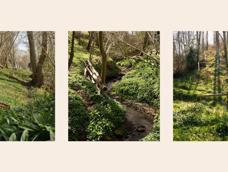 Brinkburn grounds at wellbeing weekend