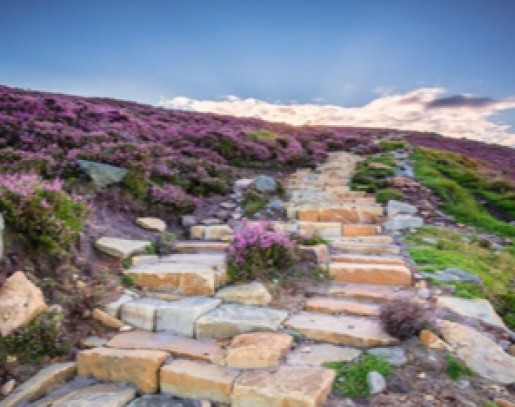 Natural stone steps surrounded by purple flowers with clouds in the horizon