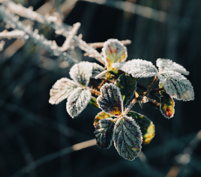 winter retreat availability