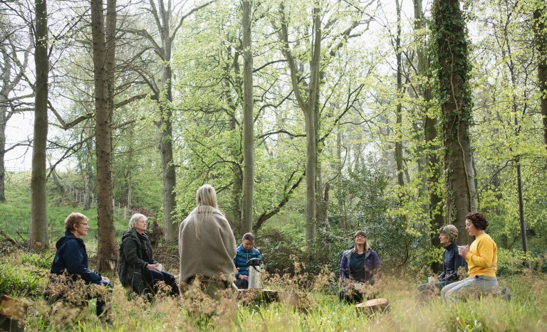 woodland gathering space at Brinkburn Northumberland