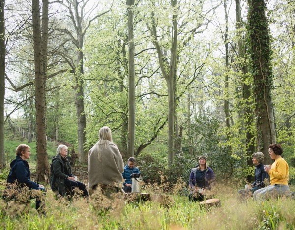 Yoga wellness retreats in the Northumberland countryside woodland