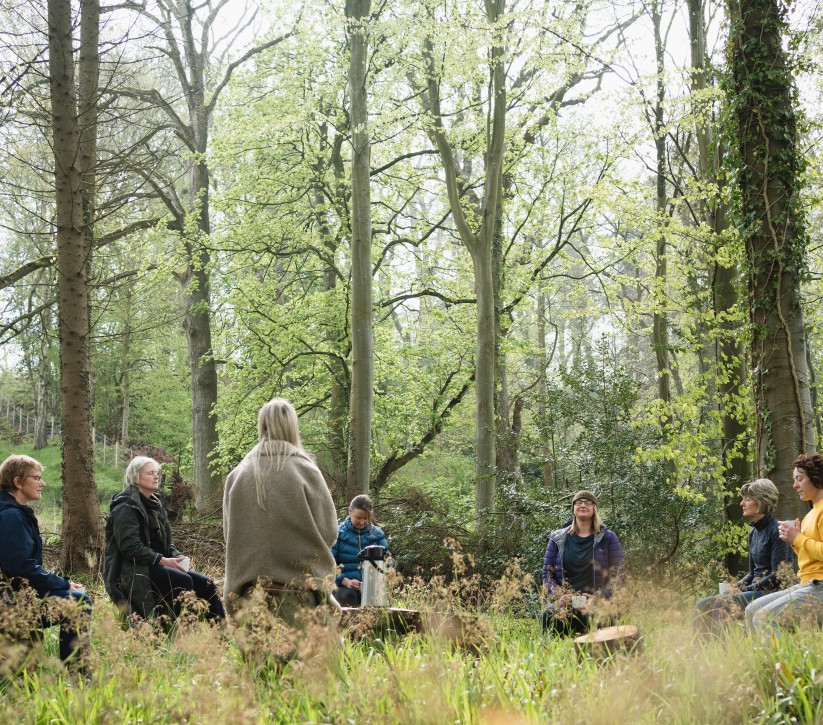 yoga retreat in brinkburn northumberland grounds