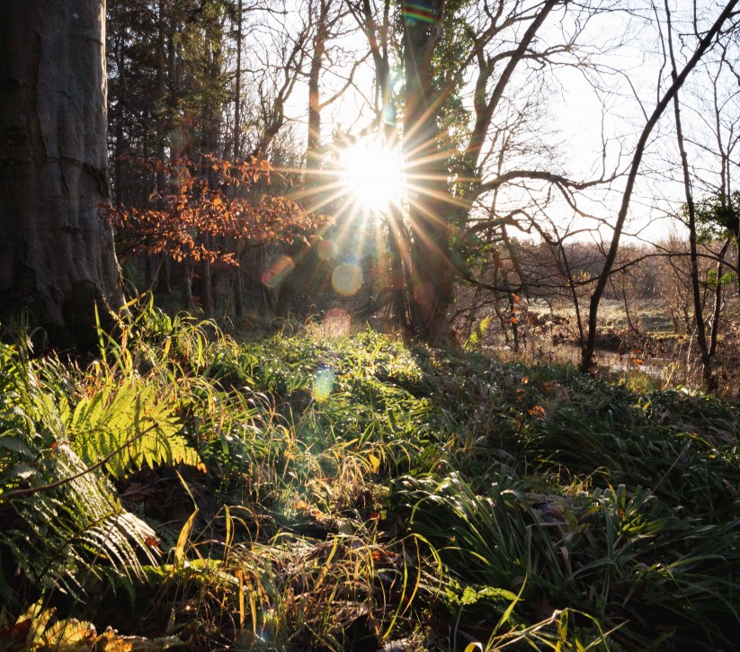eco friendly workshop hire northumberland