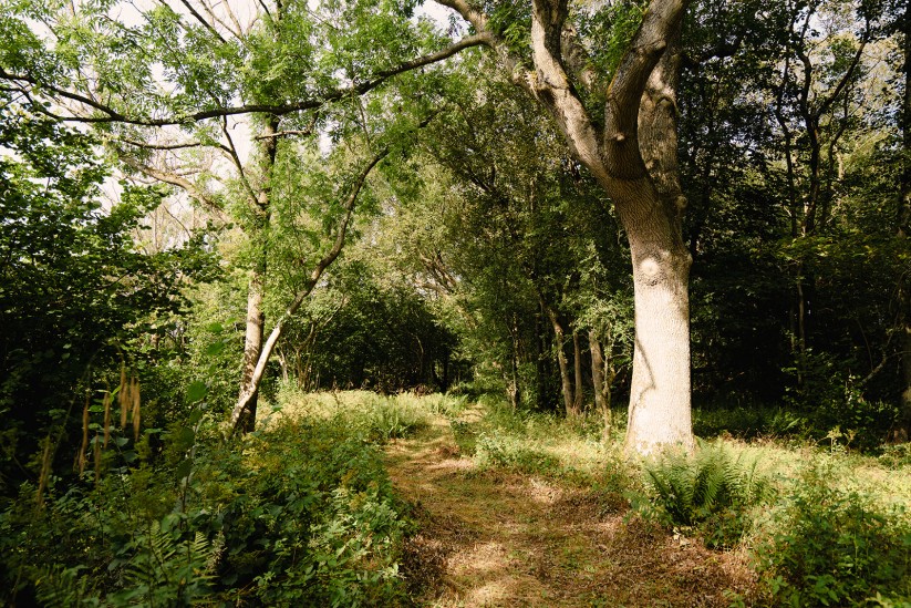 brinkburn northumberland grounds