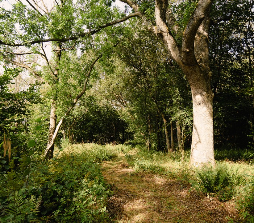 eco-friendly retreats