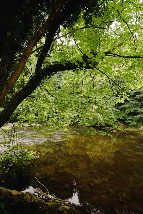 wild swimming northumberland
