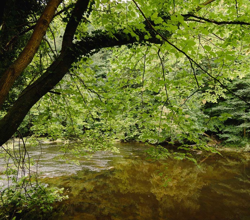 wild swimming northumberland