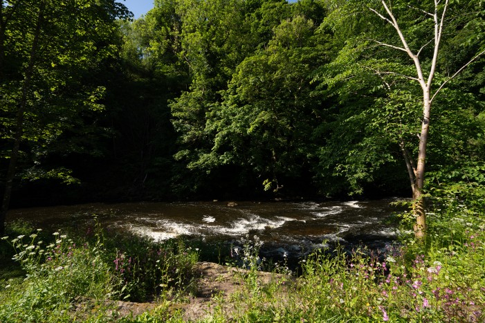 brinkburn riverside elopement