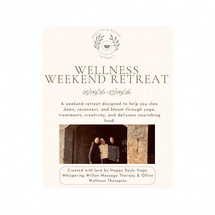 wellness retreat flyer